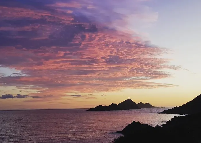 住宿加早餐酒店 干草叉花园住宿加早餐旅馆 阿雅克肖